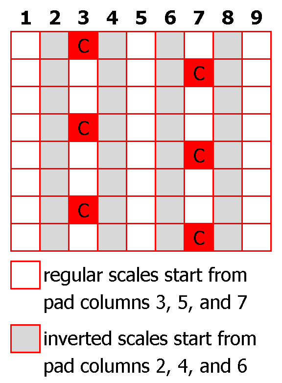 split grid concept